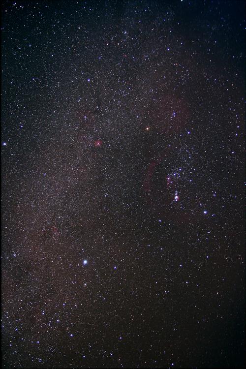 Orion